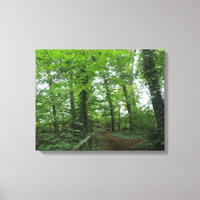 Tracer à travers la toile de la forêt verte Imprim (Recto)