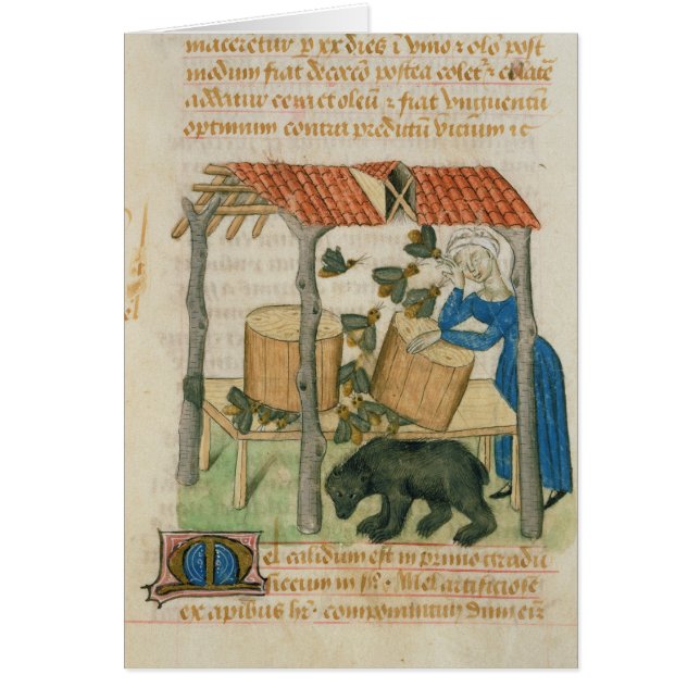 Tractatus de Herbis' (Devant)