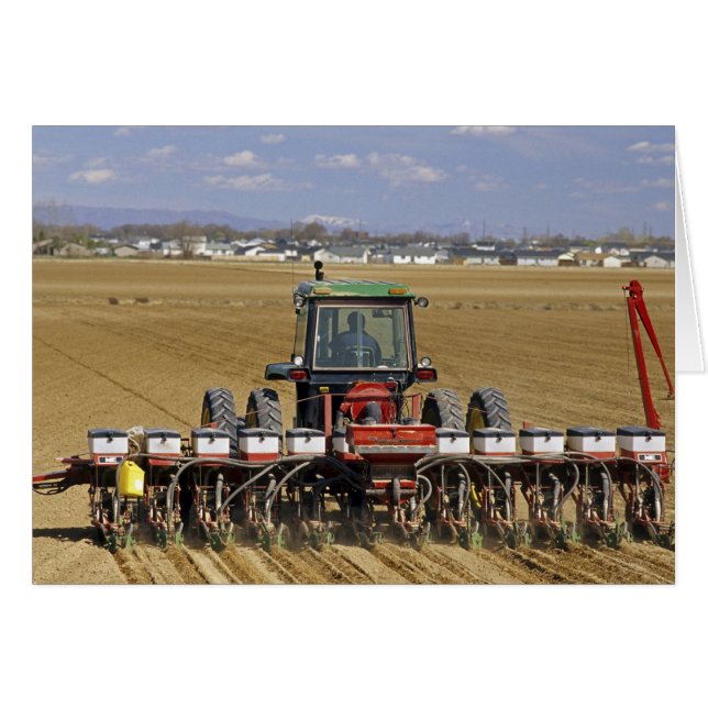 Tracteur tirant un semoir de maïs semence. (Devant horizontal)