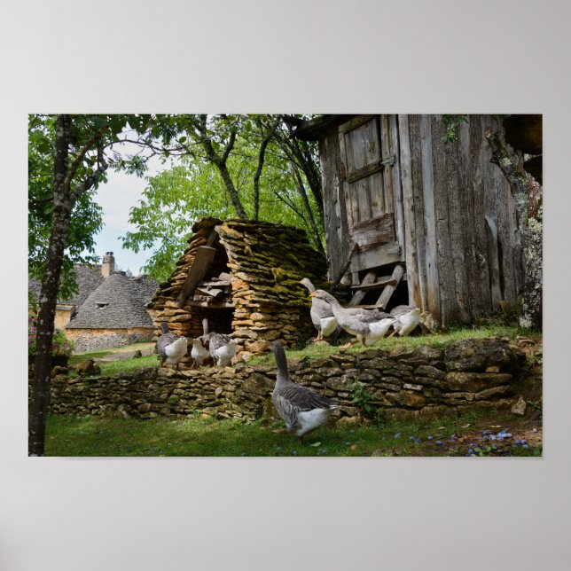 Traditional foie gras goose farm poster (Devant)