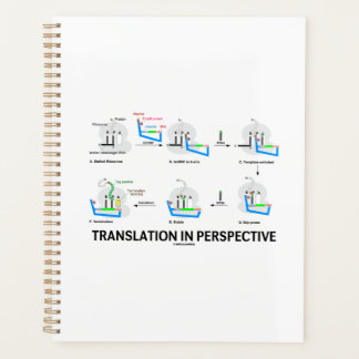 Traduction en perspective tRNA Biologie Protéine