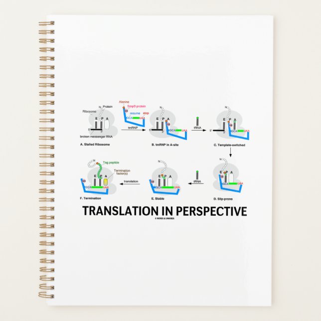 Traduction en perspective tRNA Biologie Protéine (Devant)