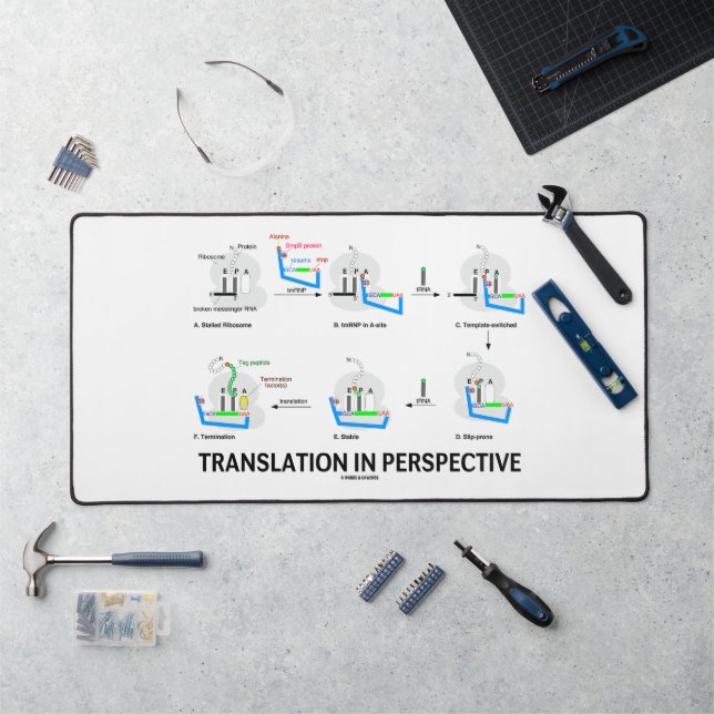 Traduction en perspective tRNA Biologie Protéine (Poste de travail)