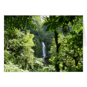 Trafalgar Falls Tropical Rainforest Photographie