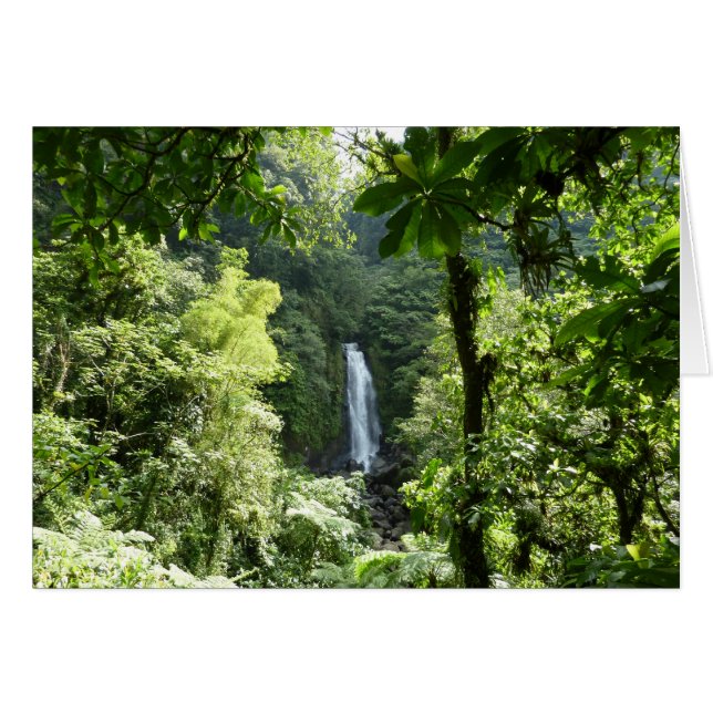 Trafalgar Falls Tropical Rainforest Photographie (Devant horizontal)