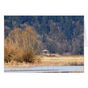Trail à Nisqually National Wildlife Refuge