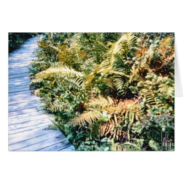 Trailside Flora (Devant horizontal)