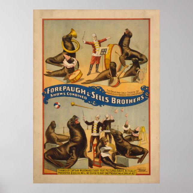 Trained Seals Circus Poster - Forepaugh & Sells (Devant)