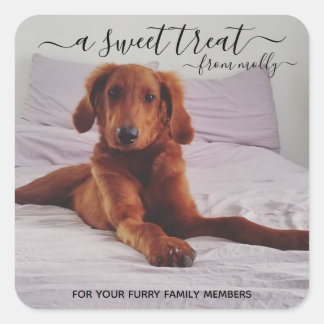 Traiter les autocollants Favoriser