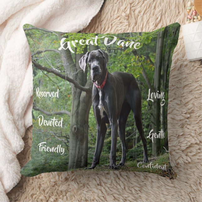 Traits de Grand Danois Coussin de Lancer Accents d (Couverture)