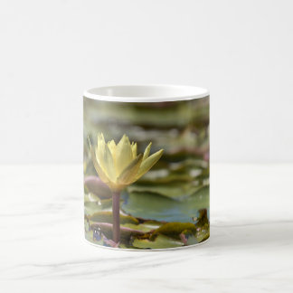 Tranquil Water Lily Coffee Mug – Nature Photograph