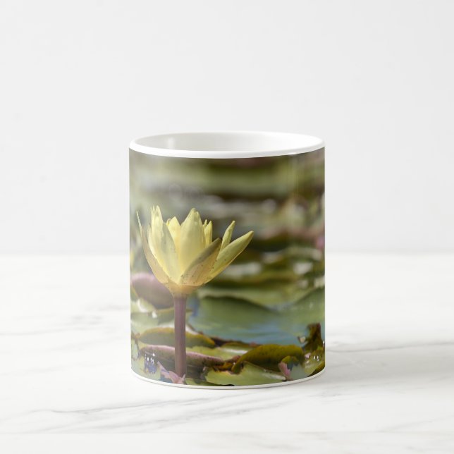 Tranquil Water Lily Coffee Mug – Nature Photograph (Centre)