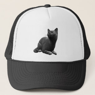 Tranquille Casquette de chat noir