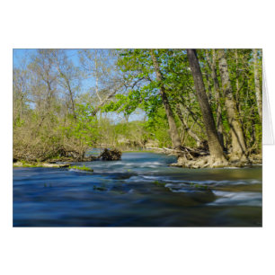 Tranquille Sur La Rivière