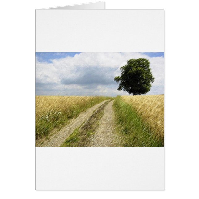 TRANQUILLITÉ (Devant)