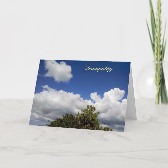 Tranquillité floride nuages Carte de voeux (Devant)