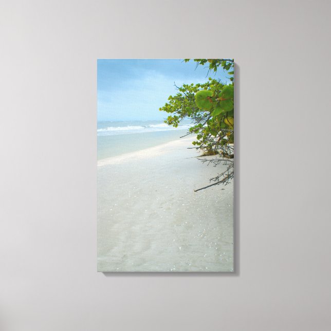 Tranquillité sur la toile de l'île de Sanibel (Recto)