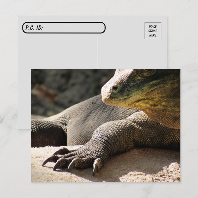 Transfert postal - Carte postale Komodo Dragon (Devant / Derrière)