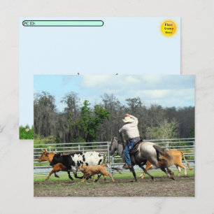 Transfert postal - La Roundup - Carte postale Cowb