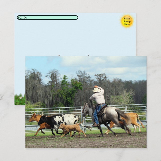 Transfert postal - La Roundup - Carte postale Cowb (Devant / Derrière)