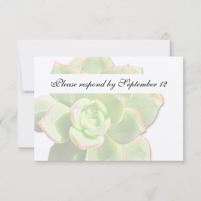 Translucide Vert Succulent Vintage rsvp (Devant)