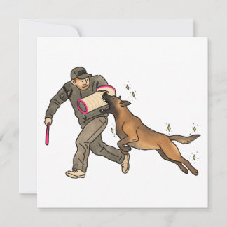 Travail de morsure Malinois