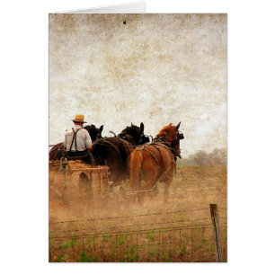 Travail sur le terrain à cheval