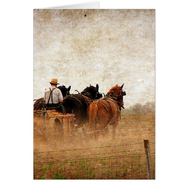 Travail sur le terrain à cheval (Devant)