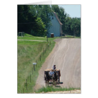 Travailler Amish Pinto Drafts Sur la route à Kalon