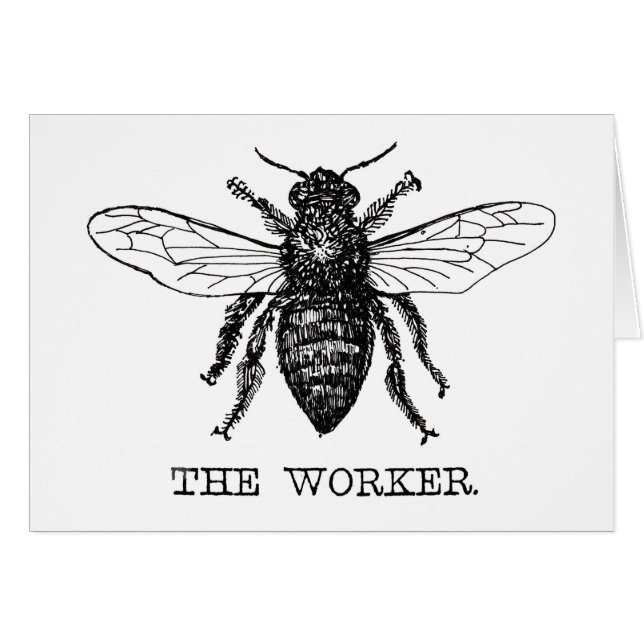 Travailleur Bee Black White Bumblebebe Vintage (Devant horizontal)