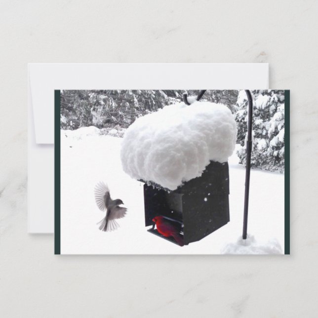 Travailleur du service, Facteur, UPS, FedEx, Carte (Devant)