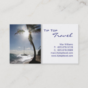 Travel Palm Tree Sun Ocean Boat Carte de visite