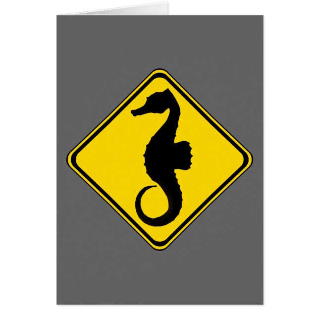 Traversée des hippocampes ! (Devant)