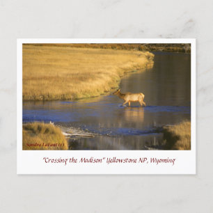 Traverser la carte postale du passage à niveau de