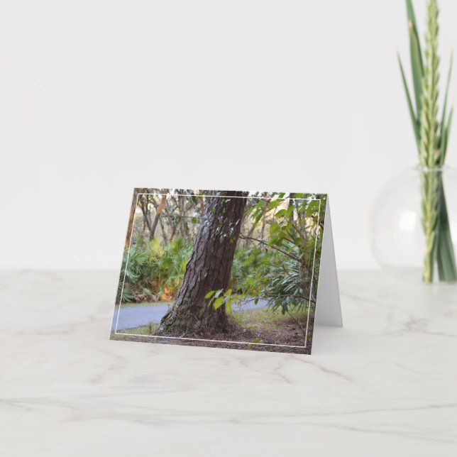 Traverser Le Lac Lettuce (Devant)