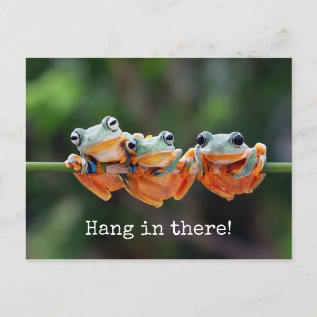 Tree Frogs Trio - Hang in There Carte postale (Devant)