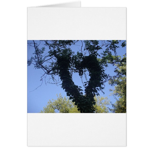Tree heart (Devant)