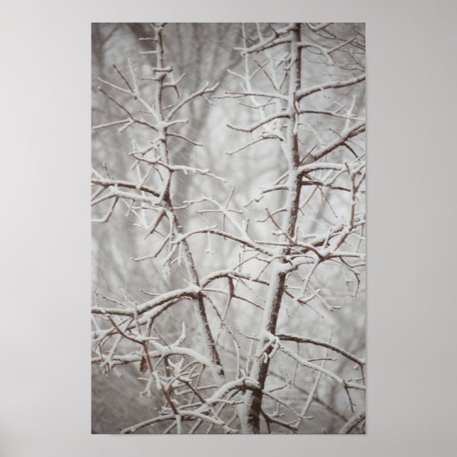 Tree in  a Snowstorm Poster (Devant)