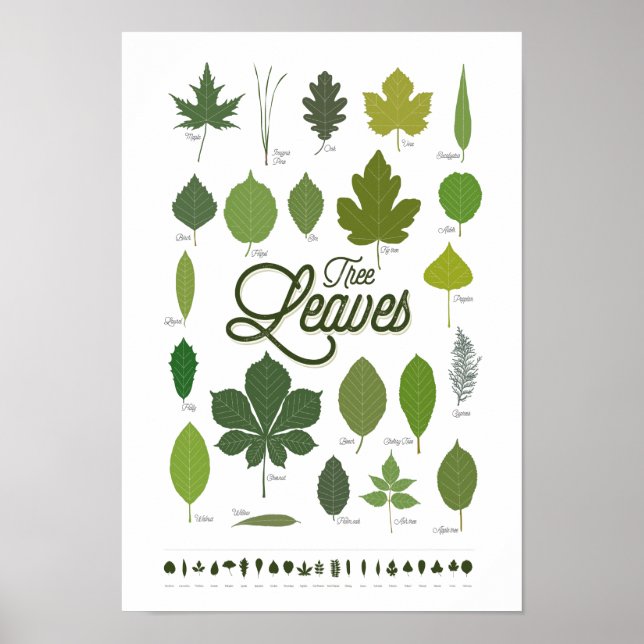 TREE LEAVES poster (Devant)