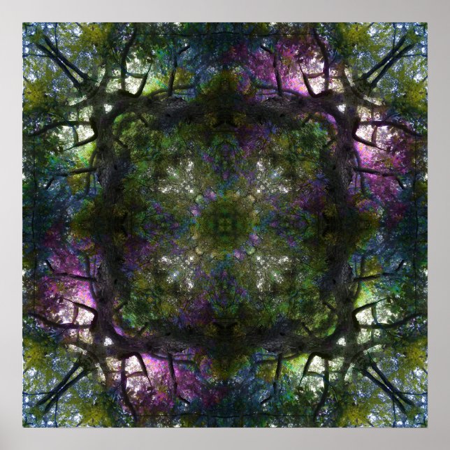 Tree Magic Poster 20" x 20" (Devant)