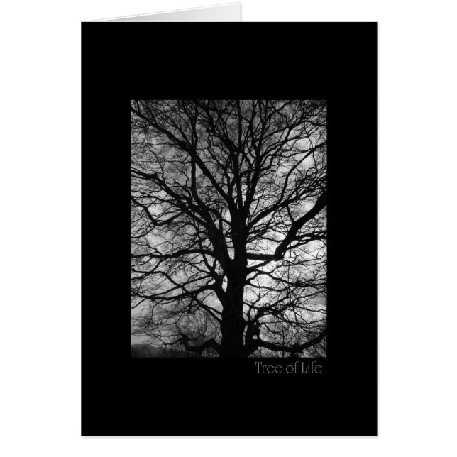 Tree of Life (Devant)