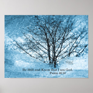 Tree Reflection Poster