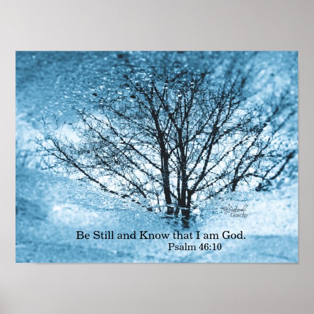 Tree Reflection Poster (Devant)