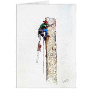 Tree Surgeon Arborist