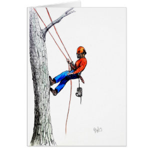 Tree Surgeon Arborist