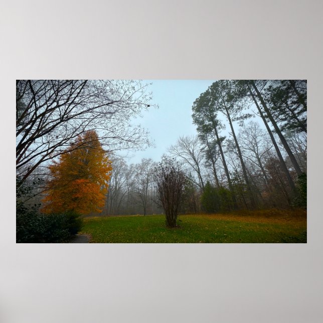 Trees & Fog,  Poster (Devant)