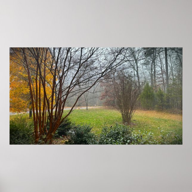 Trees & Fog,  Poster (Devant)