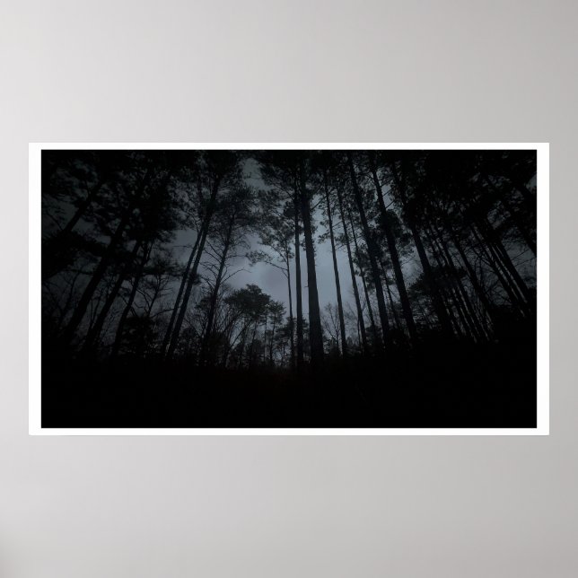 Trees & Fog,  Poster (Devant)