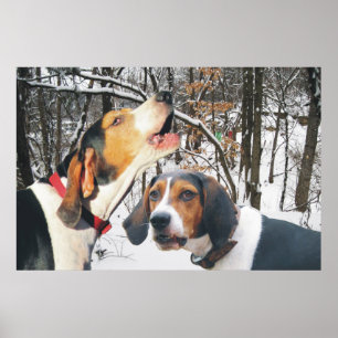 Trek Walker Coonhound Poster Snowy Woods