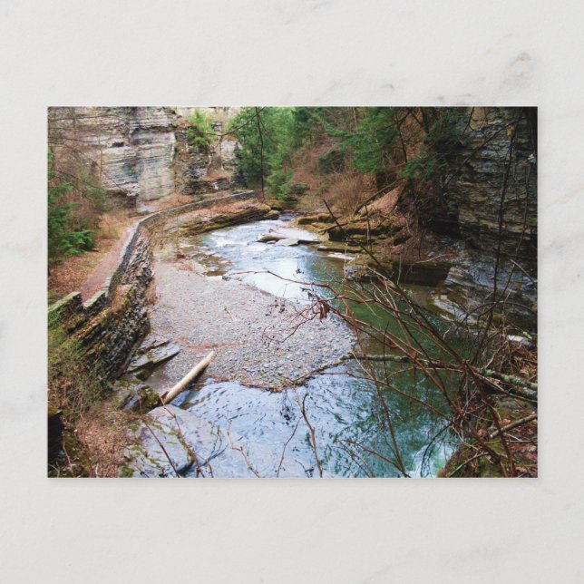 TREMAN STATE PARK, ITHACA, N.Y. carte postale (Devant)